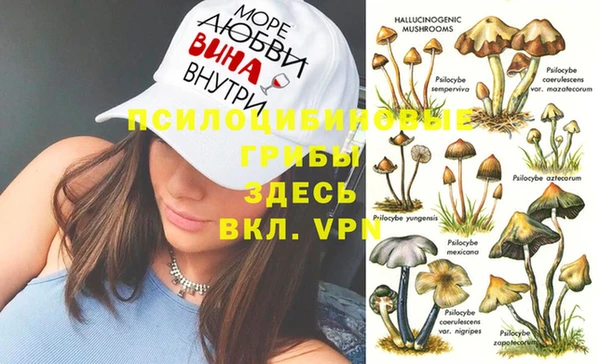 стафф Балабаново