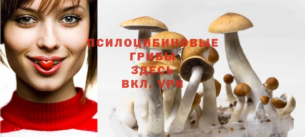 прущая мука Балахна