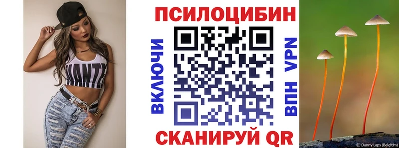 Купить закладки  Почеп  Галлюциногенные грибы Psilocybine cubensis 